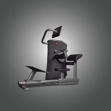Q Hip Thrust