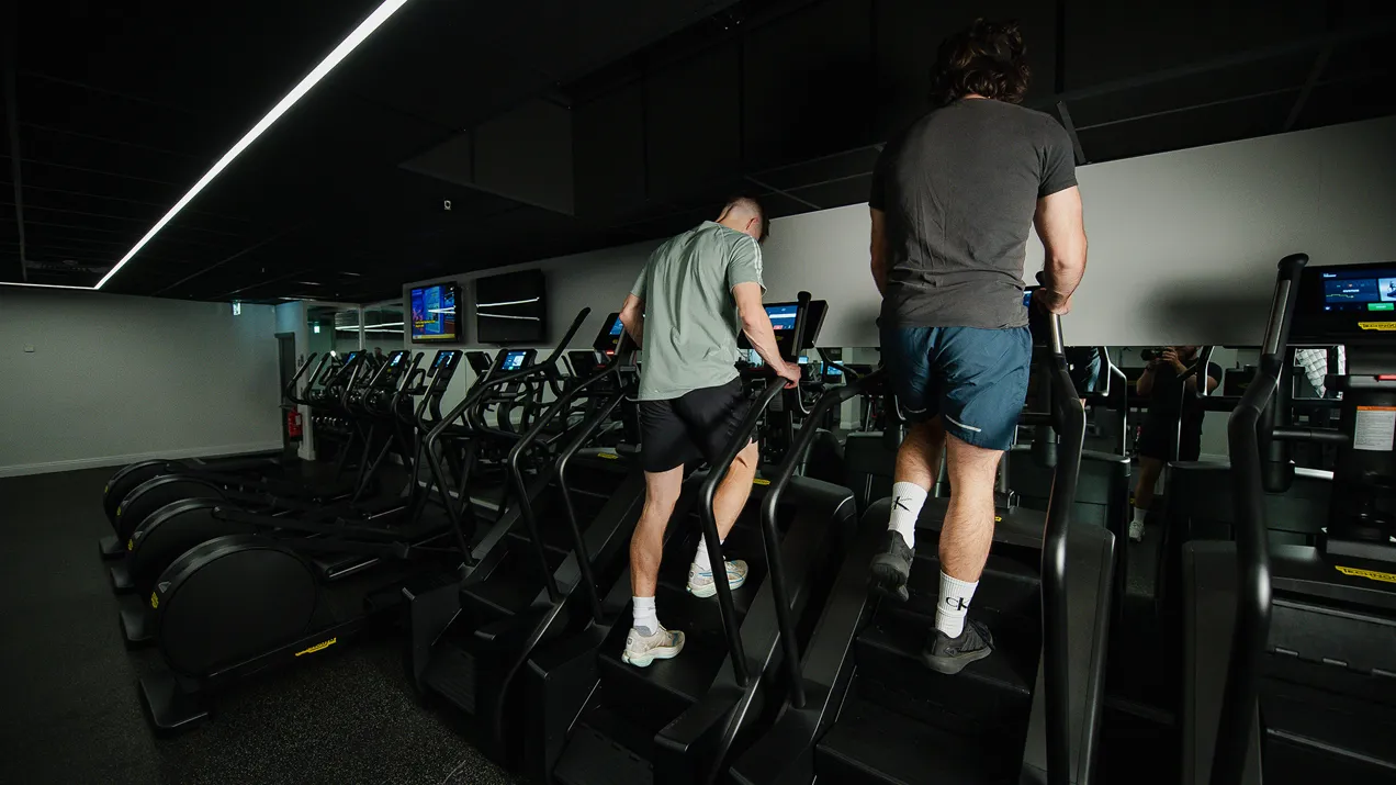 Stair Master FF 208