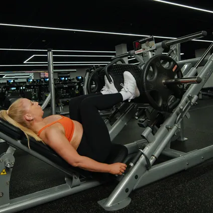 Free Weights FF 281 L